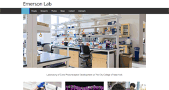 Desktop Screenshot of emersonlabccny.com