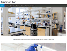 Tablet Screenshot of emersonlabccny.com